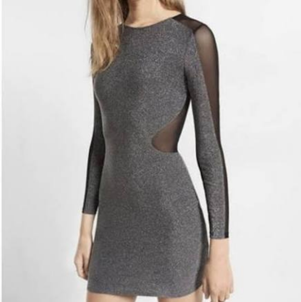 NWT Express metallic and mesh cutout bodycon dress. Size 2